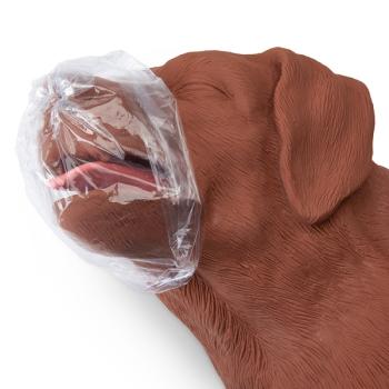 Erler Zimmer - HLW Übungshund CasPeR